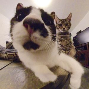 Meet your Posher, Rebecca